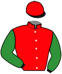 Casaque du n°2 — FORTUNA FIGHTER