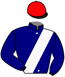 Casaque du n°6 — HENZO DU COPY