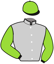 Casaque du n°13 — DIAMANTE ROSS
