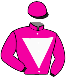 Casaque du n°2 — HUGO FRATI