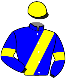 Casaque du n°1 — NASSAU LIGNERIES