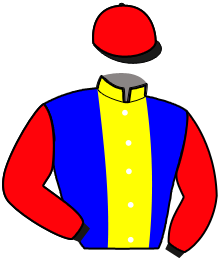 Casaque du n°2 — NICE TER MEULEN