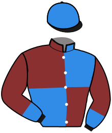 Casaque du n°4 — NARITA EXPRESS