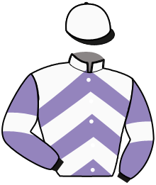Casaque du n°8 — NASHIRA