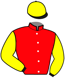 Casaque du n°1 — NINJA DE LA FERME