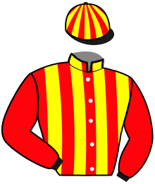 Casaque du n°11 — NAGANO DU CAMPDOS