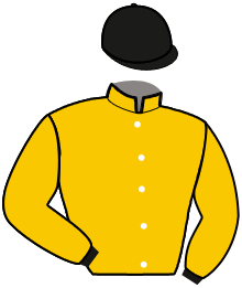 Casaque du n°12 — NATO JOSSELYN