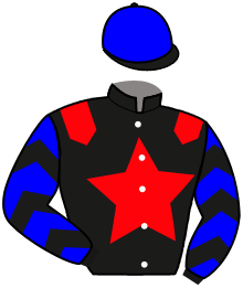 Casaque du n°11 — MILAZZIA