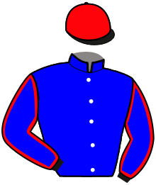Casaque du n°3 — MANUREVA NAY