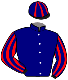 Casaque du n°15 — MAURANE DU CLOS