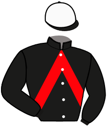 Casaque du n°8 — MAYOTTE