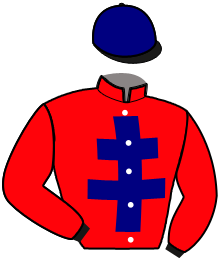 Casaque du n°10 — MALOIN D'ELMA