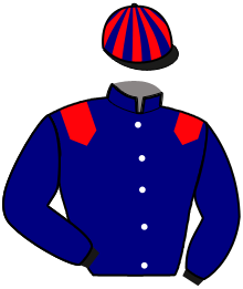 Casaque du n°12 — MILLESIME DARLING