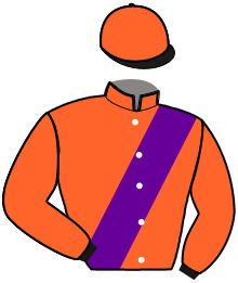 Casaque du n°13 — MAESTRO DE FERFAY