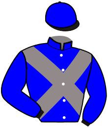 Casaque du n°5 — MAXIMUS MATIDY
