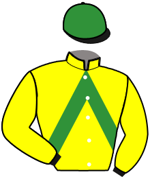Casaque du n°12 — LINO DU BIRKWALD