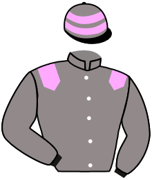 Casaque du n°5 — BELLO CONDOR