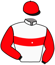 Casaque du n°6 — FRANTONIO