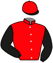 Casaque du n°11 — SOUDYA
