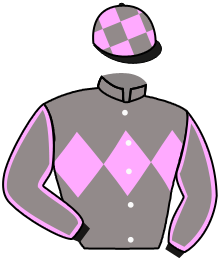 Casaque du n°11 — MAVILLA TROIS