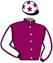 Casaque du n°7 — PRINCESS KARA