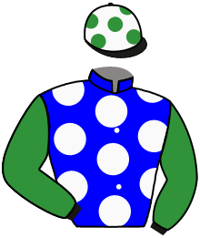 Casaque du n°6 — MAJARA