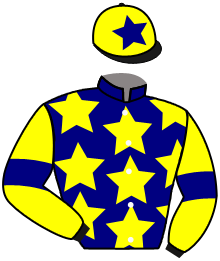 Casaque du n°8 — ARANYANI