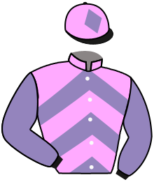 Casaque du n°11 — SAPRISTI