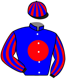 Casaque du n°13 — WILLY WINNER