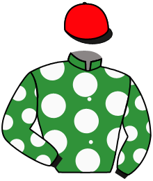 Casaque du n°12 — TOLEO