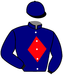 Casaque du n°14 — SPOTTED TAIL