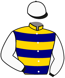 Casaque du n°12 — CIARRAI ABU
