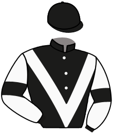 Casaque du n°5 — HICKORY LAD