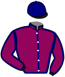 Casaque du n°8 — MR MACARTNEY