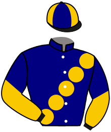Casaque du n°2 — BAY OF BRILLIANCE
