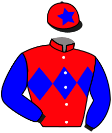 Casaque du n°13 — KOLKATA KNIGHT