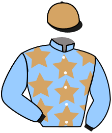 Casaque du n°16 — U S S CHARLESTON