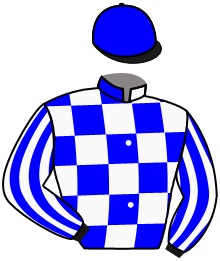 Casaque du n°2 — BAKER BLUE