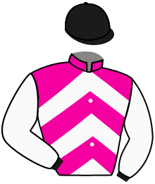 Casaque du n°11 — AGITATOR