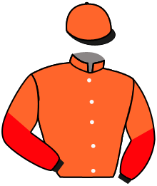 Casaque du n°13 — HIGH HAZARD