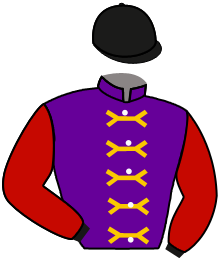 Casaque du n°10 — LA TORRE