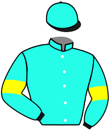 Casaque du n°12 — ORCHARD HATCHES