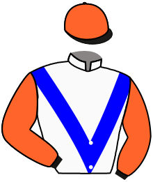 Casaque du n°13 — SIENA STORM