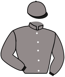 Casaque du n°6 — ELEVATING
