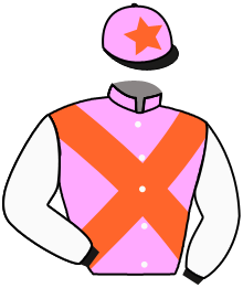 Casaque du n°9 — LA BASSETTE