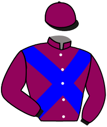 Casaque du n°13 — ABUNDANT