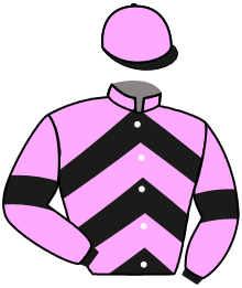 Casaque du n°14 — KALOKALO
