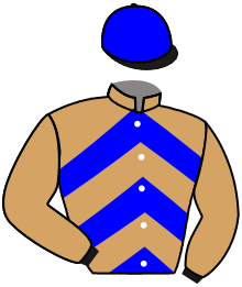 Casaque du n°8 — RUNSWICK