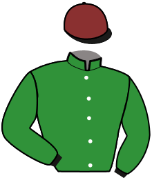 Casaque du n°10 — HOUSTON TUILERIE