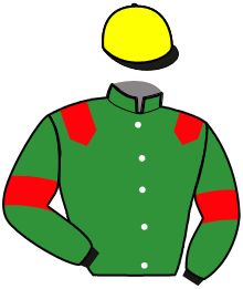 Casaque du n°2 — HIGOUEN